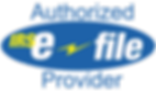 Authorized E-File Provider