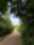 IMG_1716.HEIC