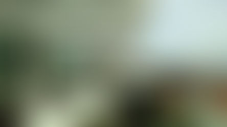 RUTA DE GLORIOSOS LUGARES: MUSEO DE ARTE ANTIGA DE LISBOA.