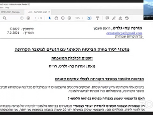 הרצאה ליועצים לכלכלת משפחה