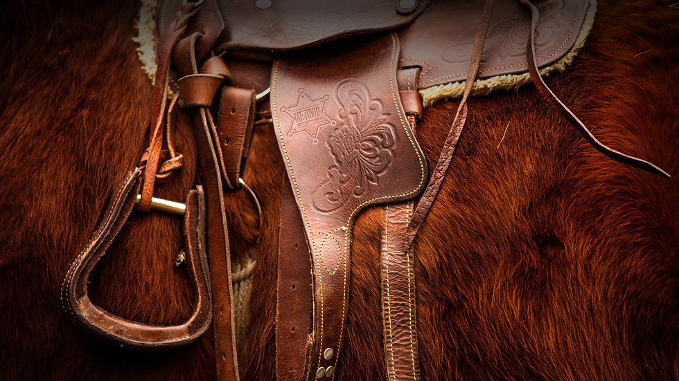 Saddle_Banner_1920x1080.jpg