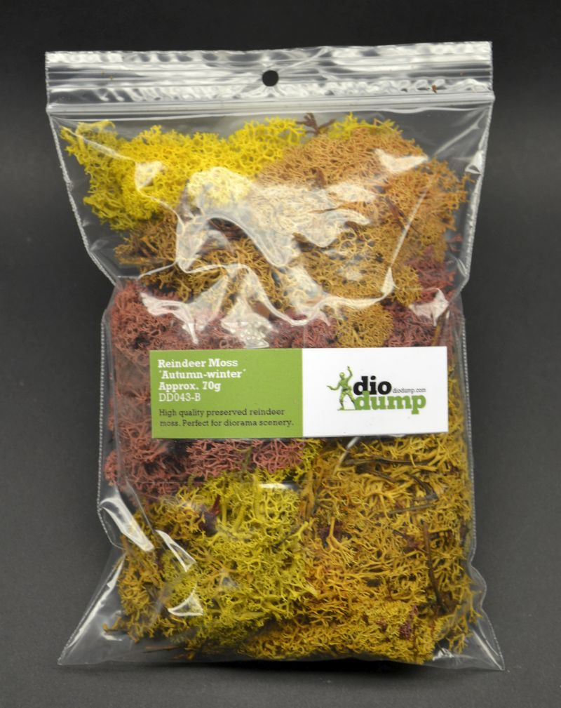 diodump_dd043-B_reindeer_moss_autumn_win