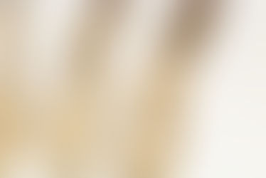 哺乳期間妳一定會看到的漢方食材