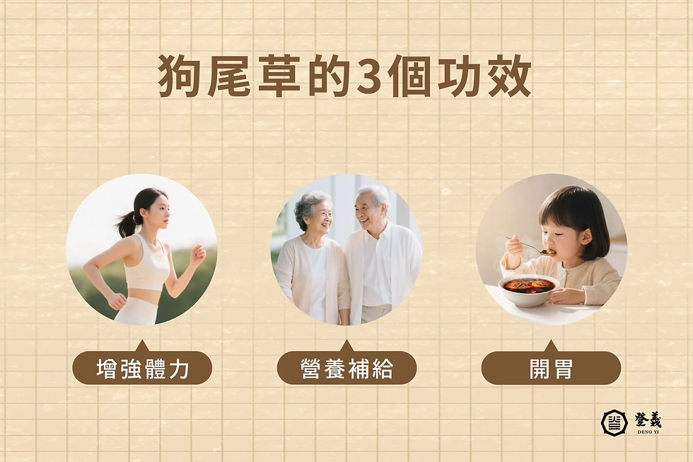 狗尾草功效多！3個狗尾草的功效介紹