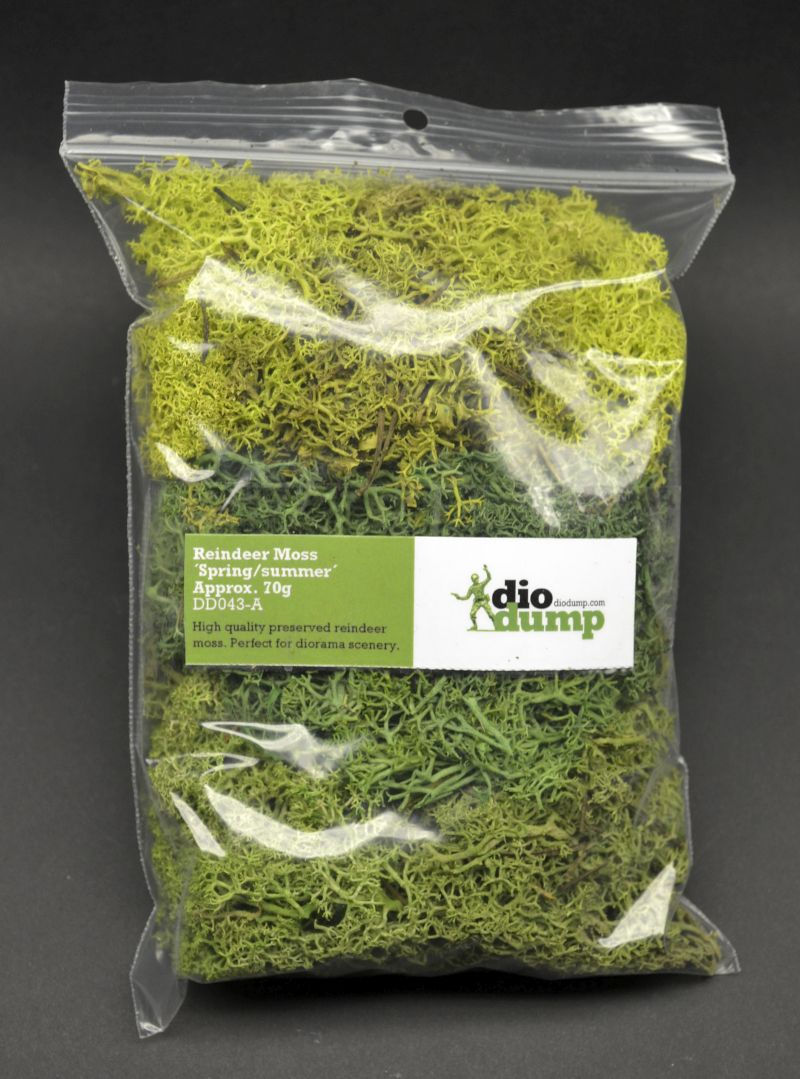 diodump_dd043-A_reindeer_moss_spring_sum