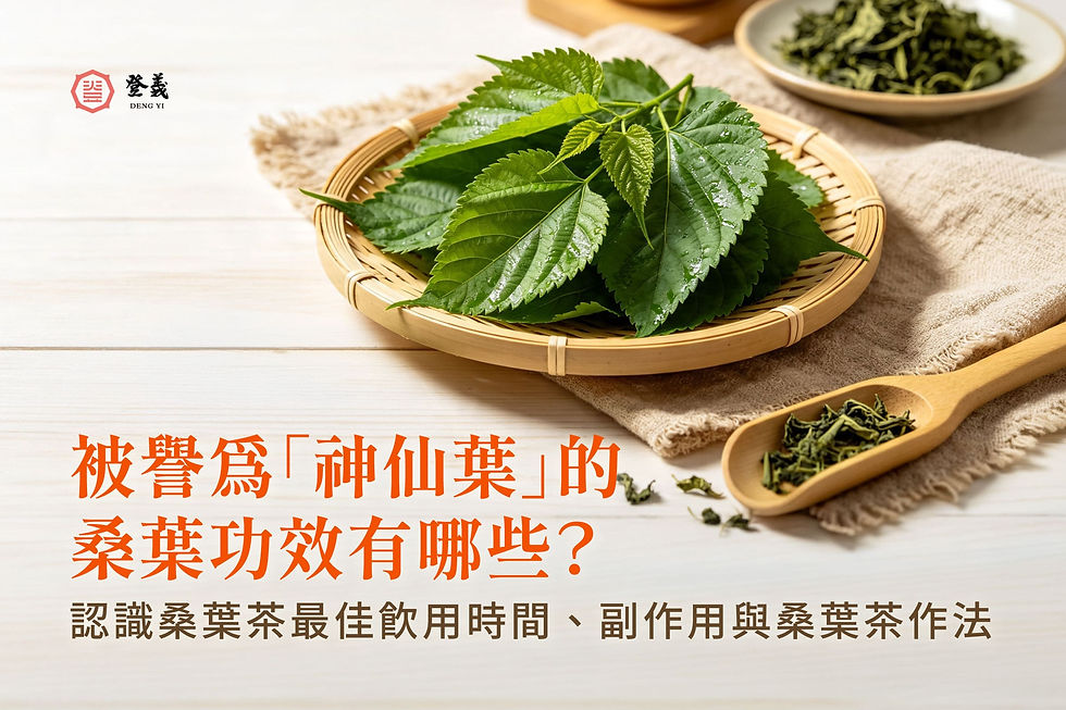 被譽為「神仙葉」的桑葉,桑葉功效有哪些?認識桑葉茶最佳飲用時間、副作用與桑葉茶作法