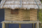 diodump_dd150_vietnamese_stilt_hut_2