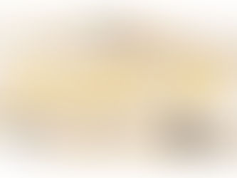 FIB WINNERS 2023 - 2 DICEMBRE 2023