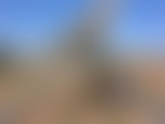 光電與農業融合,農電共生模式引領美國農場再生