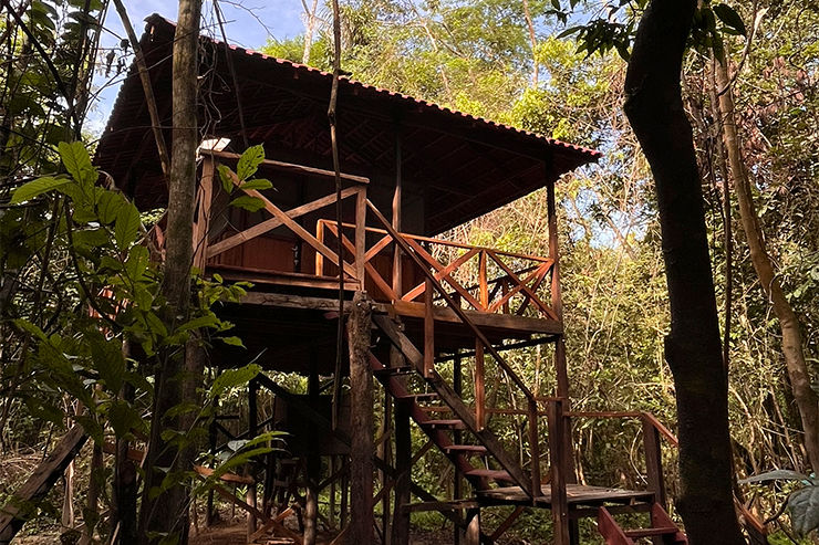 Casa da Mata in the dry season of the Brazilian Amazon rainforest – authentic eco-lodge experience