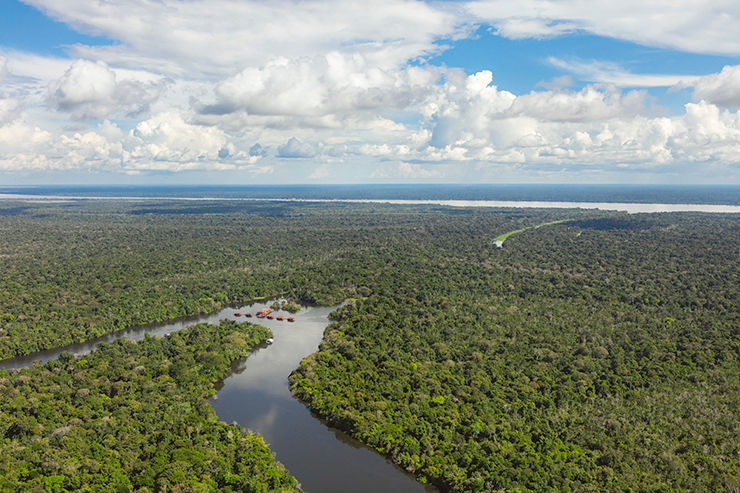 Lush vegetation and the Japurá River seen from inside Mamirauá Reserve in the heart of the Amazon.