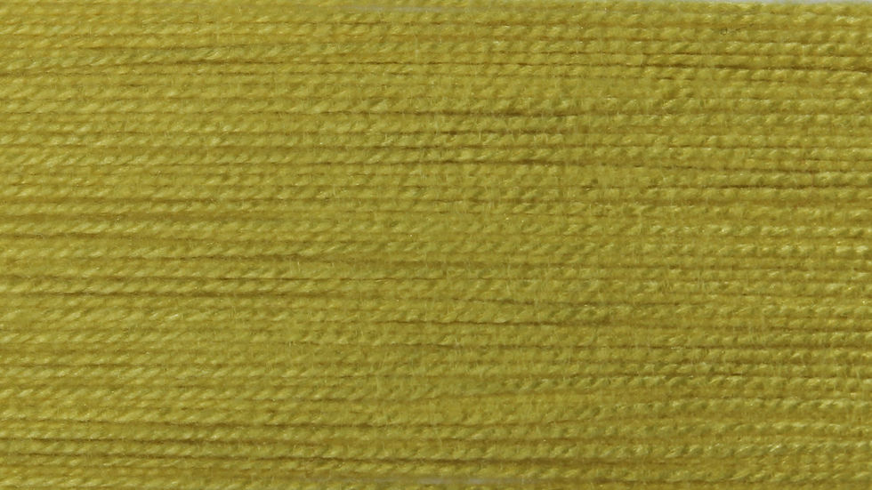 62554.jpg
