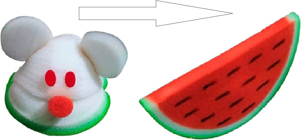 Mouse to Water melon