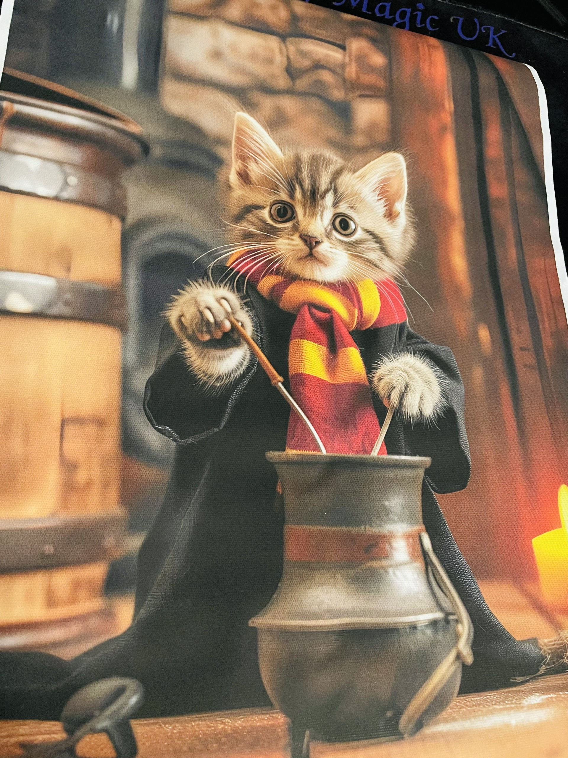 Wizard Cat Poster