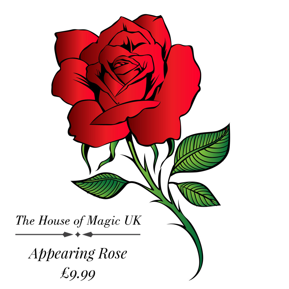 Appearing Rose