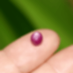 1.35 ct. Gorgeous Unheated Untreated Burmese Star Ruby Cabochon Gemstone set in Brass Holder Ring fo