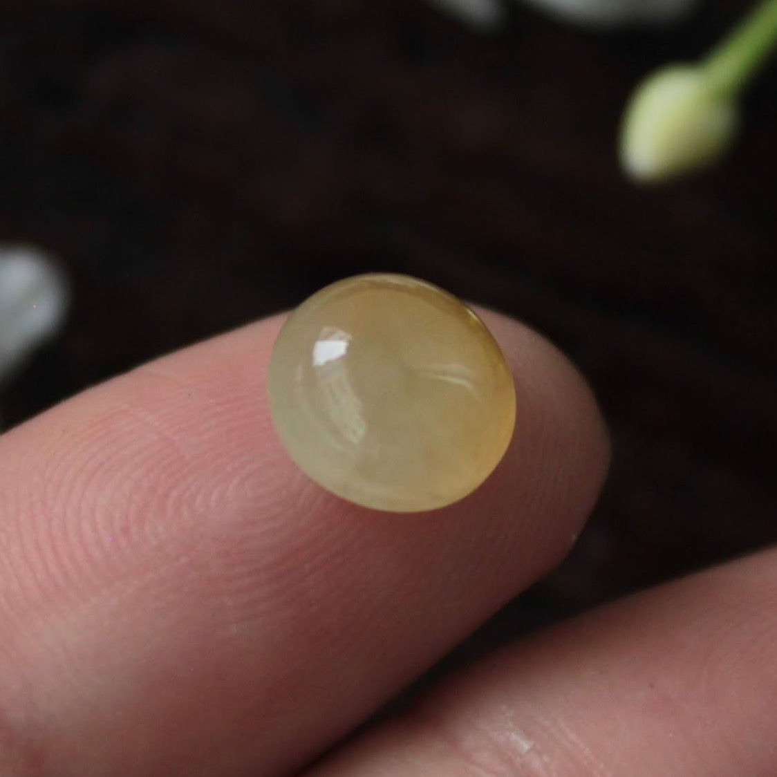 2.4 ct. Icy- Yellow Translucent Jadeite Jade (Grade A) Cabochon Gemstone