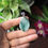 Thumbnail: Icy Green Jadeite Jade (Grade A) Zodiac Pig Pendant, Set in a 92.5 % Silver Bail