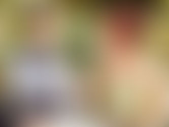 Chris & Mary | A Garden Wedding at Stangate House Aldgate SA