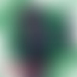 ★TUTA MULTITASCHE GLOBO BICOLORE GLOBAL TRADING ✅