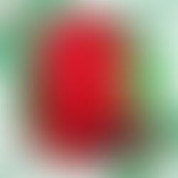 Polo BCPU414 ★ Bestseller!