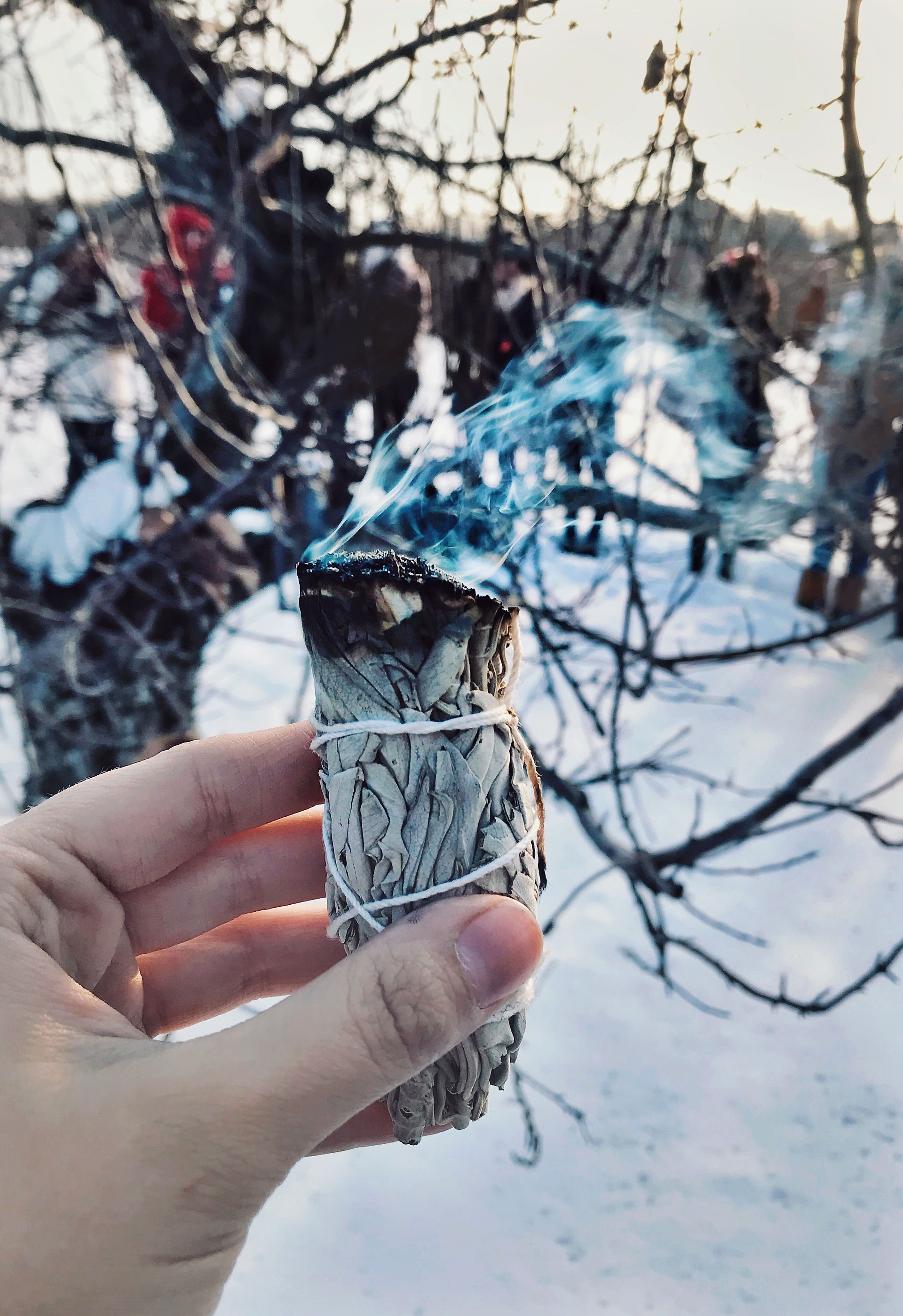 Sage Smudge Stick
