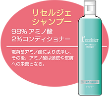 Serendip株式会社 | recelsier