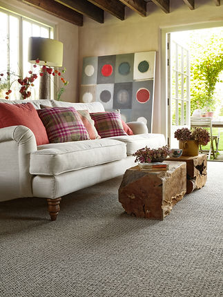 Galloway Wigtown Kestrel_03.jpg