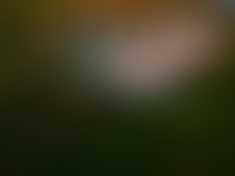 Week-end détente dans un hôtel spa : offres et séjour spa