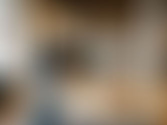 Musée enfants pays basque : histoire naturelle et famille