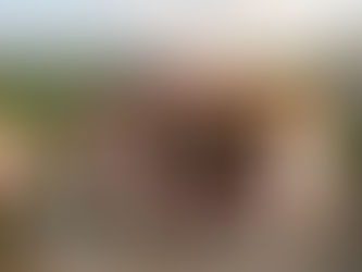 Ce qui est typique du pays basque : spécialités et terroir