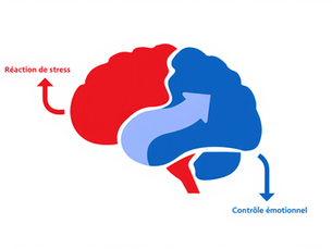 Arrêter de stresser : Les meilleures techniques