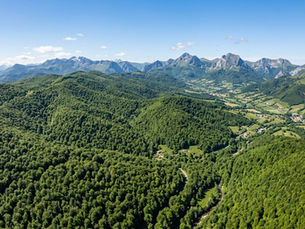 Explorer la forêt d'iraty au pays basque : nature et randonnées
