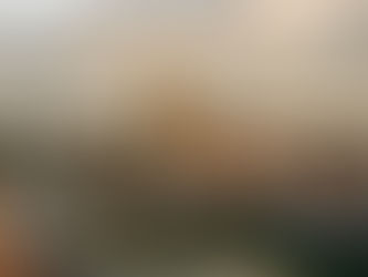 Le Pays basque et ses patrimoines culturels : trésors à découvrir