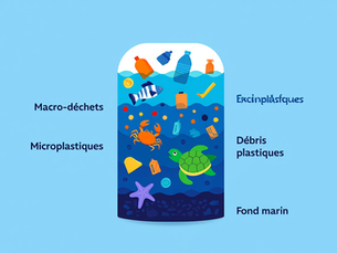 Le plastique dans les océans : un fléau pour la pollution marine