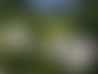 Spa Domaine de Locguénolé Kervignac 5★ | Hôtel & Bien-être Bretagne Sud