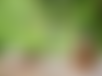 10 Astuces simples pour réduire sa consommation de plastique au quotidien