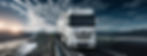 ACTROS DIDELIS.jpg