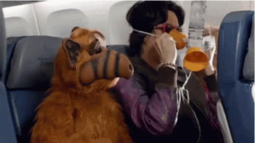 save-yourself-face-mask.gif