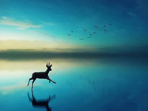 The Power of Self-Perception