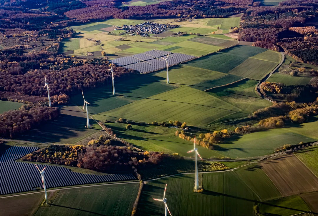 The Environmental Impact of Technology Services: Embracing Sustainability