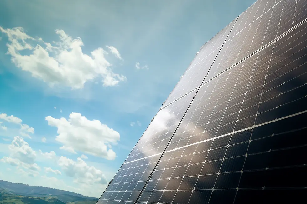 Embrace the Future: Why Adopting a Green IT Strategy is Key for Your Small Business