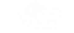 agrocoex_logo.png