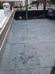 WhatsApp Image 2022-02-04 at 18.20.16 (1).jpeg