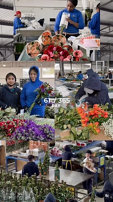 Captura de pantalla 2026-03-10 a la(s) 11.00.47.png