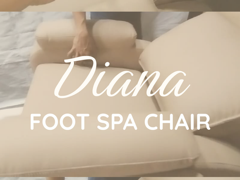 Superior Haven Diana Salon Chair