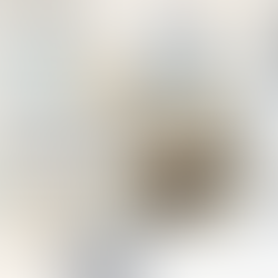 Superior Haven Salon Chair