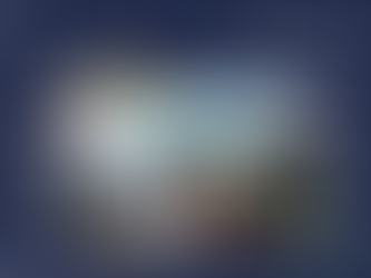 Superior Haven Swim Spa For Sale