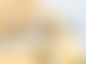 Upgrade Your Salon with the Model A8365 by Superior Haven