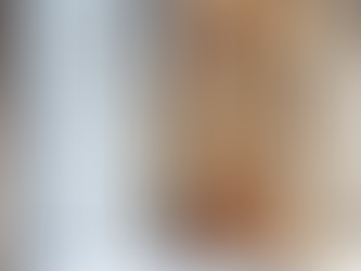 superior haven dry & wet sauna